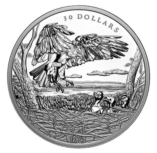 Pure Silver Coin – Multifaceted Animal Family: Bald Eagles