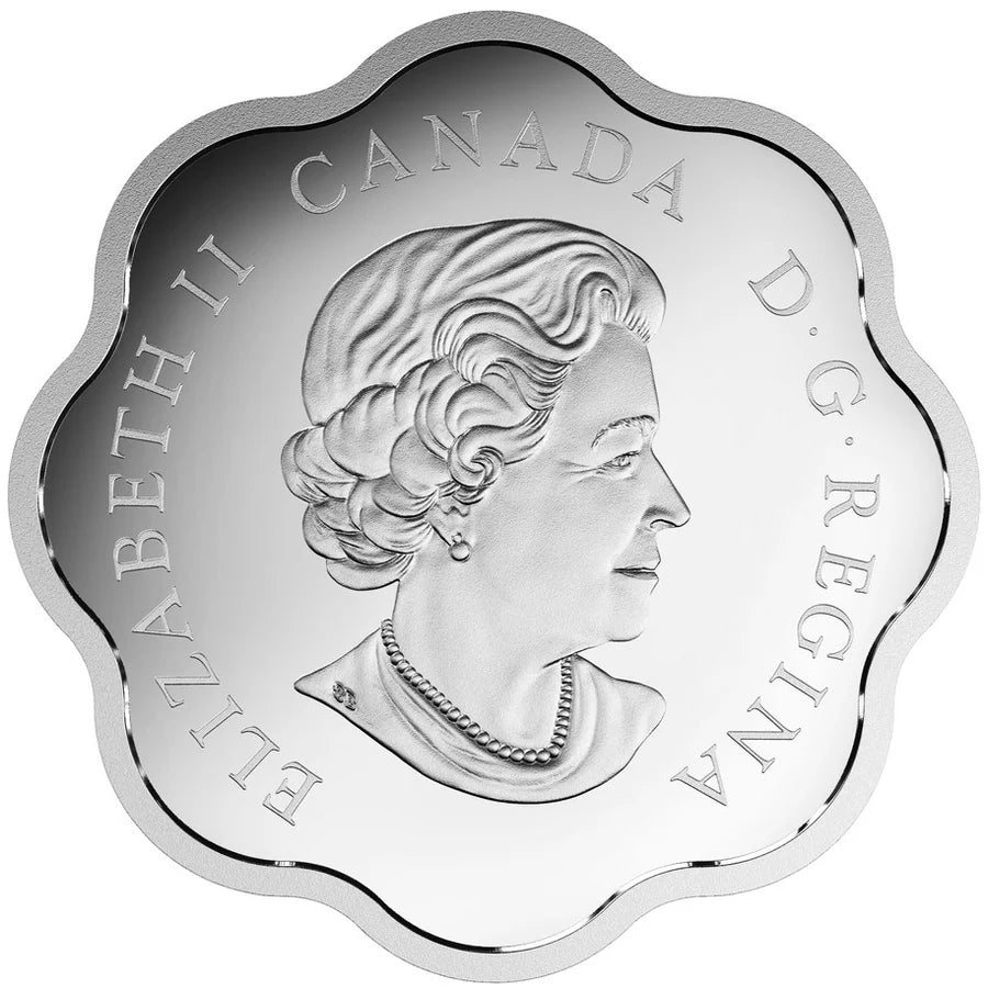 2015 $20 Master of the Sky: Canada Goose - Pure Silver Coin - cscoinsnbanknotes