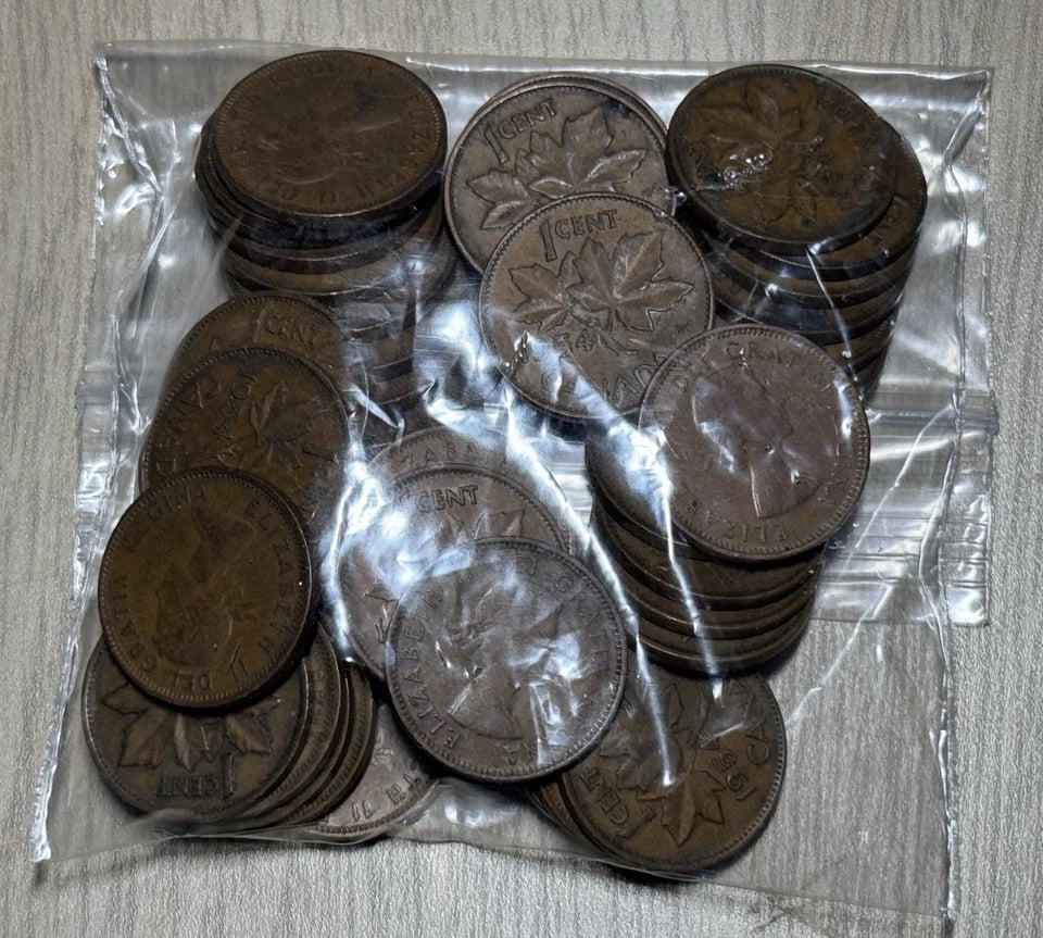 Canada 1954 Solid Date Roll of 50 Average Condition Pennies Scarce Semi Key Date - cscoinsnbanknotes