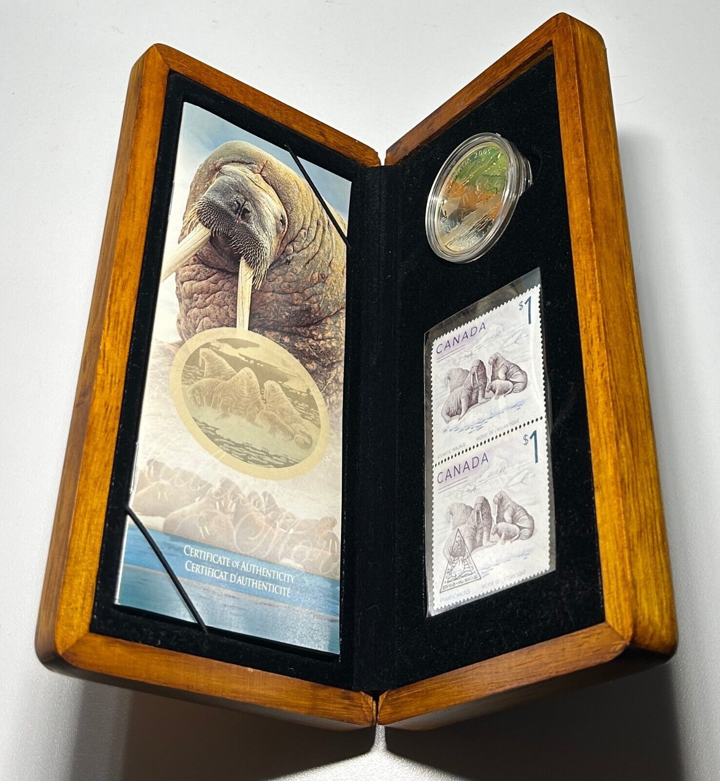 2005 Canada The Atlantic Walrus and Calf Limited Edition Silver Coin & Stamp