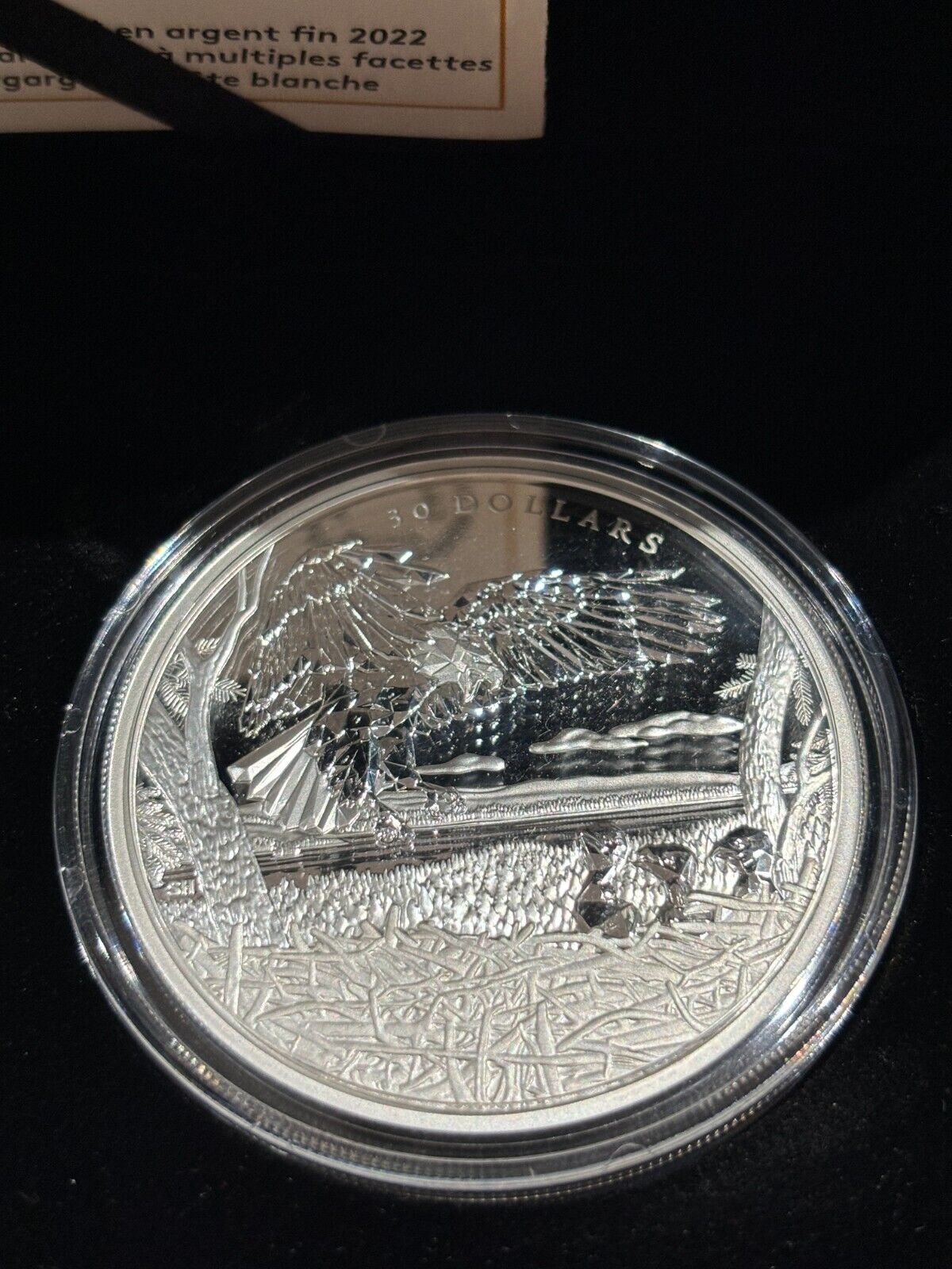 Canada RCM 2022 $30 Fine Silver Coin Multifaceted Animal Family: Bald Eagles