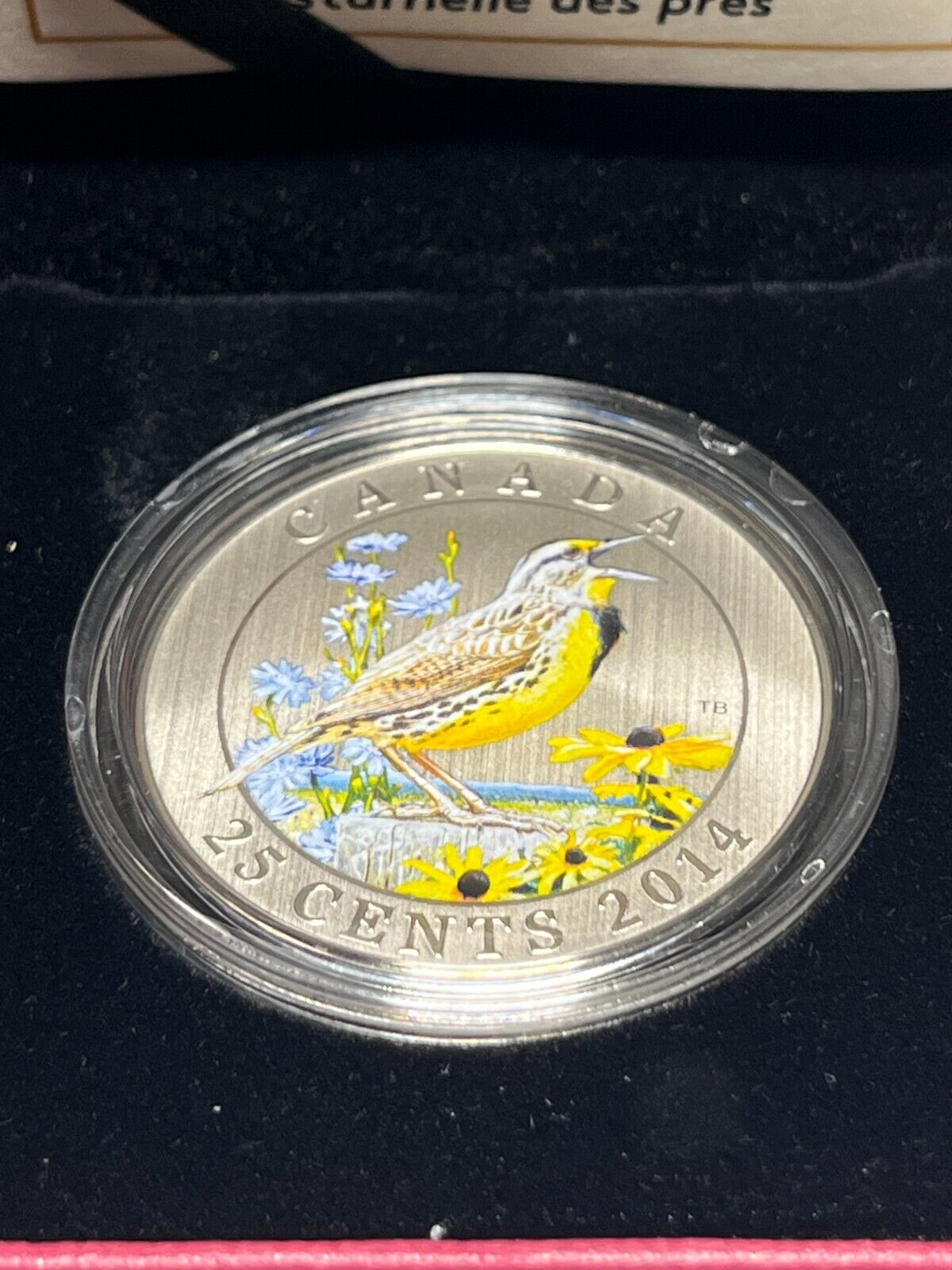 2014 Canada 25 cent Coloured Coin - Eastern Meadowlark With Box + COA