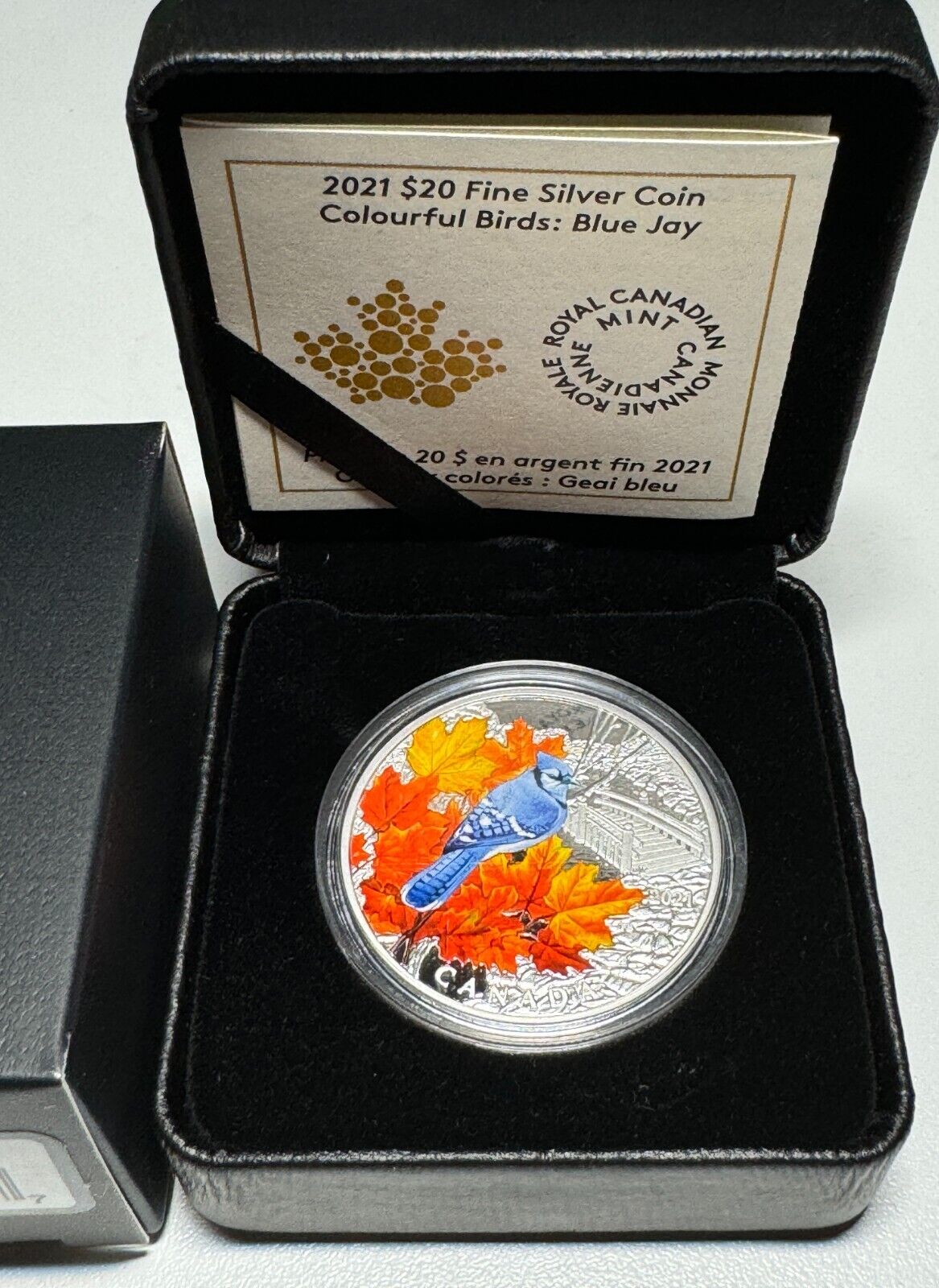 2021 Canada $20 Silver Colourful Birds of Canada - Blue Jay RARE Coin