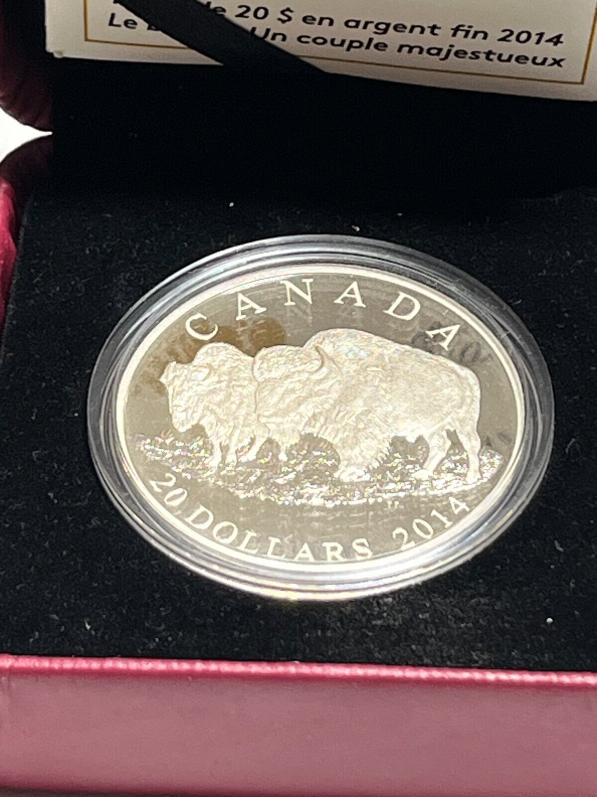 2014 $20 Fine Silver Coin - The Bison: The Bull and his Mate W Box + COA