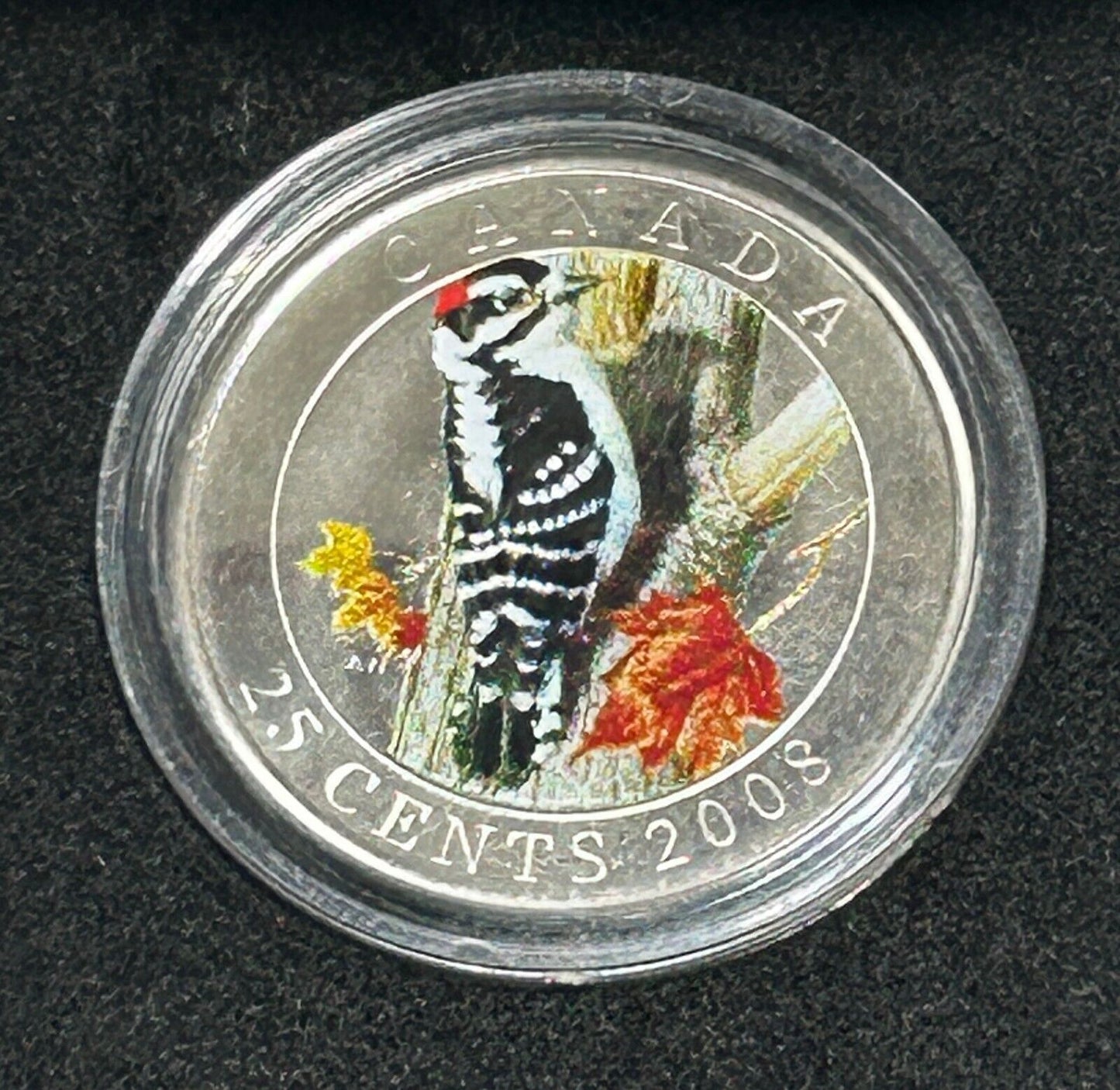 2008 Canadian 25 Cent Coin - Downy Woodpecker With Box and COA