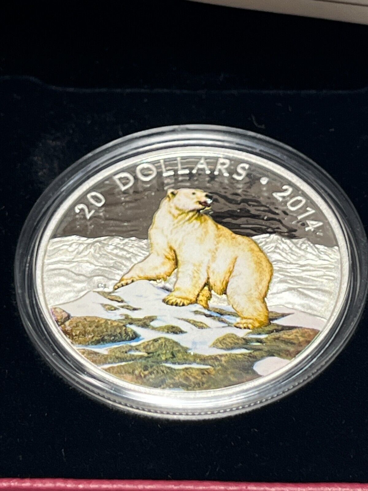 2014 'Iconic Polar Bear' Colorized Proof $20 Silver Coin 1oz .9999 Fine