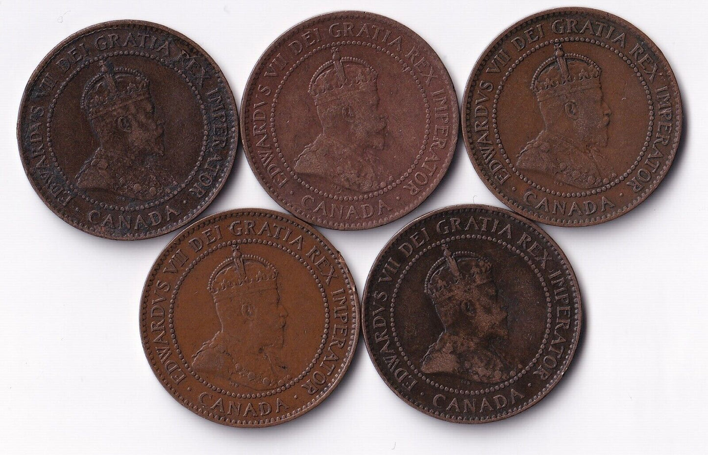 Canada 1905 1 Cent Lot of Five Large Cents King Edward Coins Harder Date