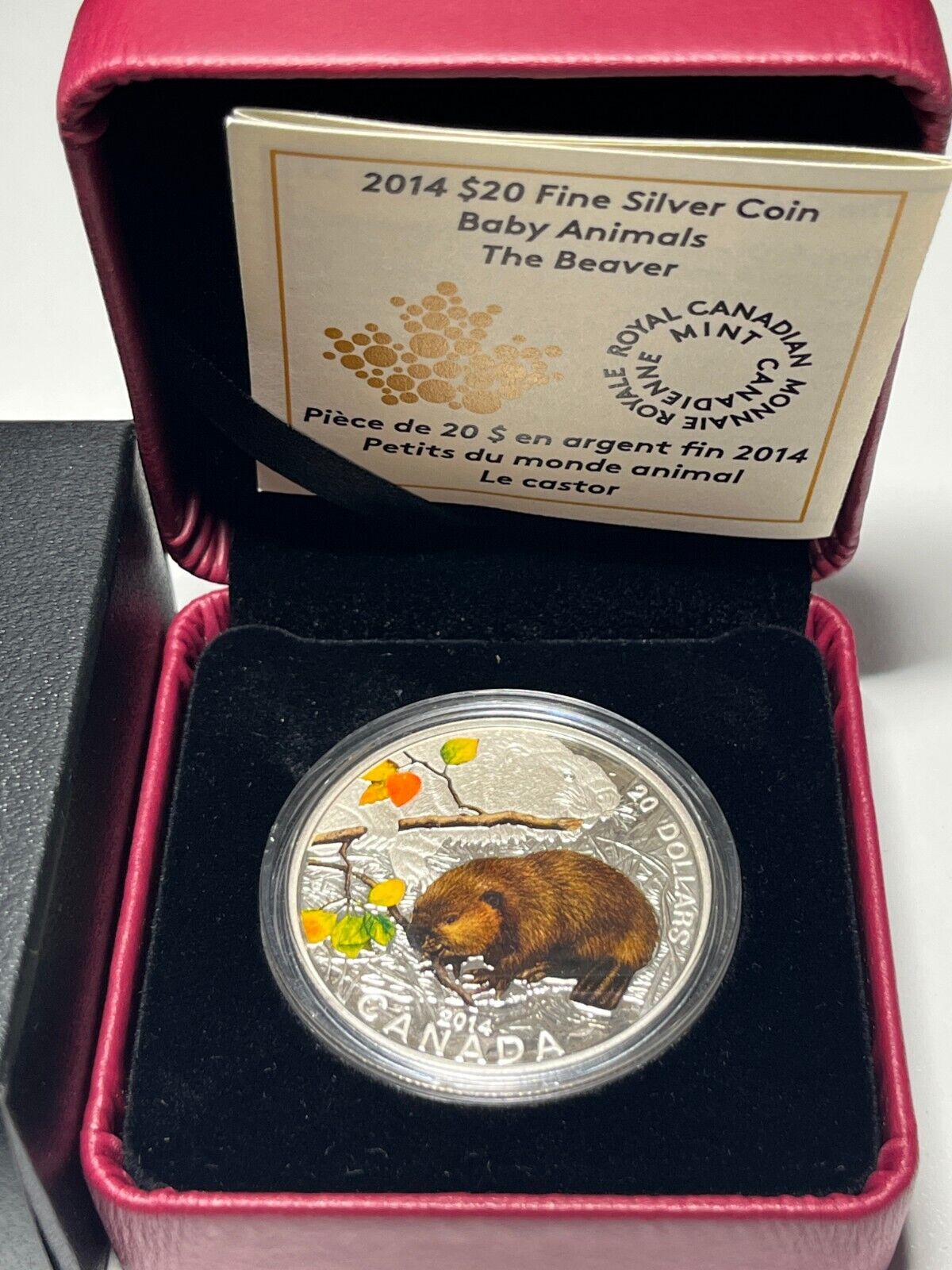 Canada 2014 $20 Fine Silver Coin Baby Animals The Beaver Colorized RCM