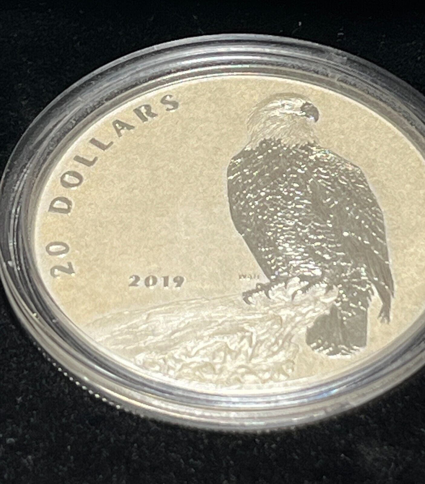 2019 Canada $20 Fine Silver Coin - The Valiant One: Bald Eagle With Box + COA