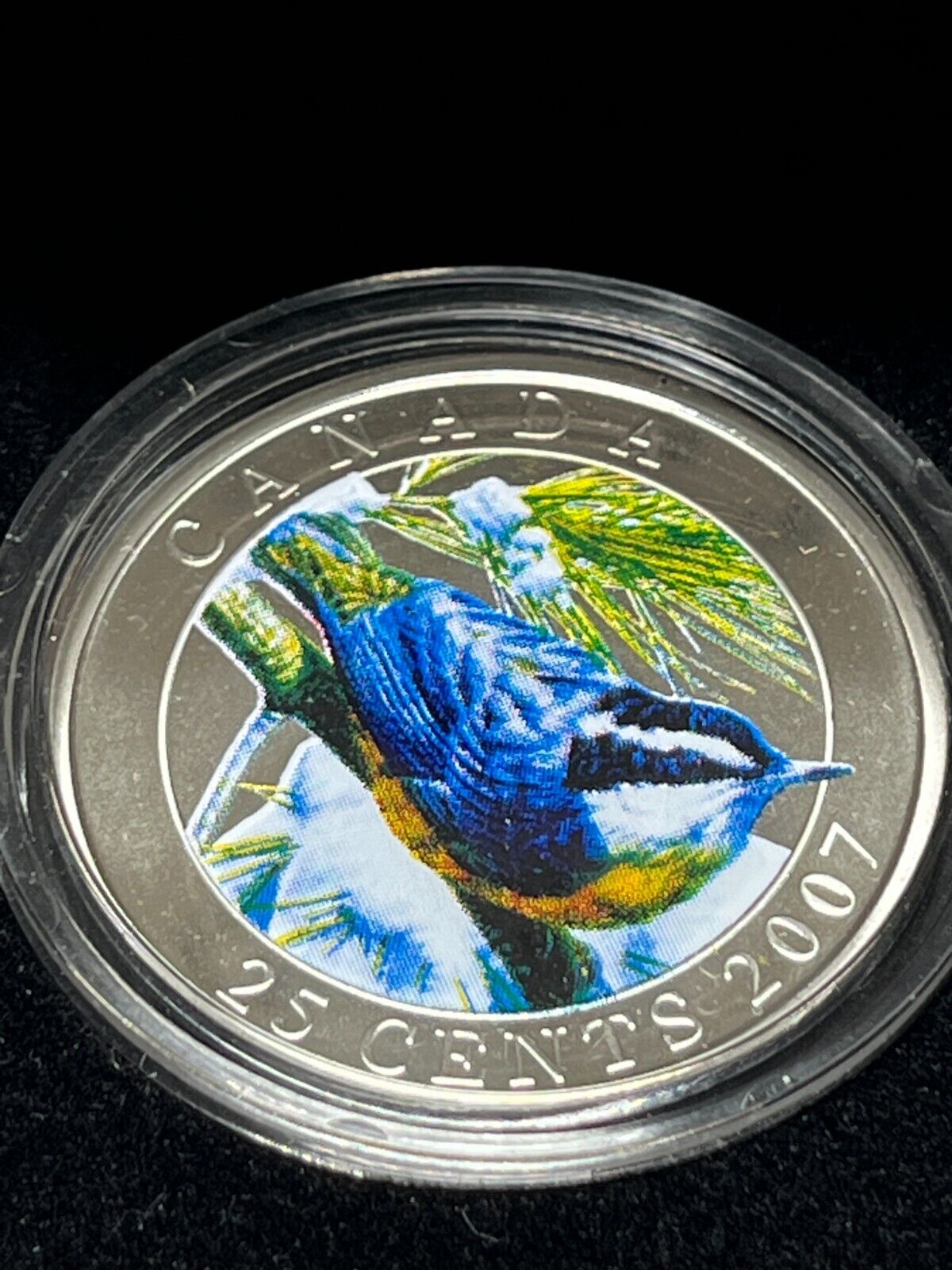 Canada 2007 25-Cent Coloured Coin - Red-breasted Nuthatch