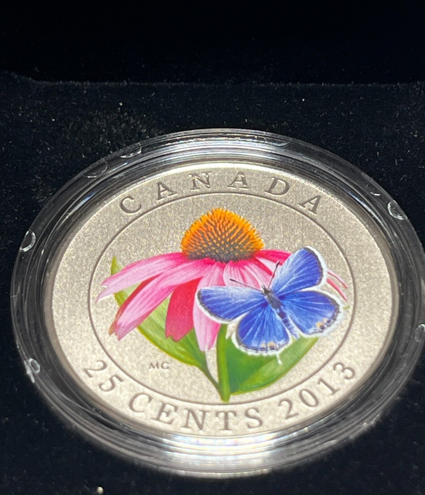 2013 Canada 25 Cent Colour Purple Coneflower and Eastern Tailed Blue Box + COA