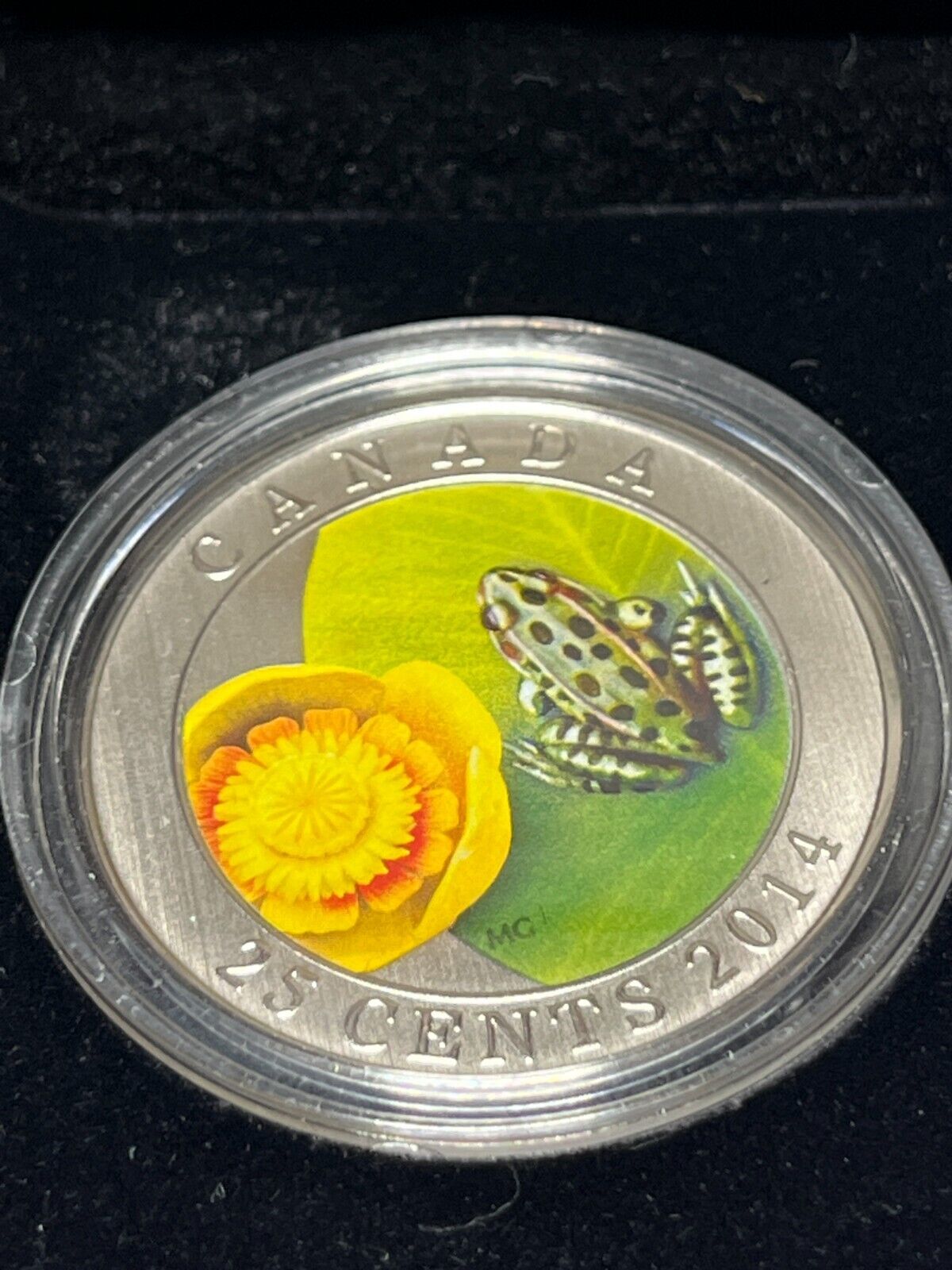 2014 'Water Lily and Leopard Frog' Colorized 25-Cent Coin With Box + COA