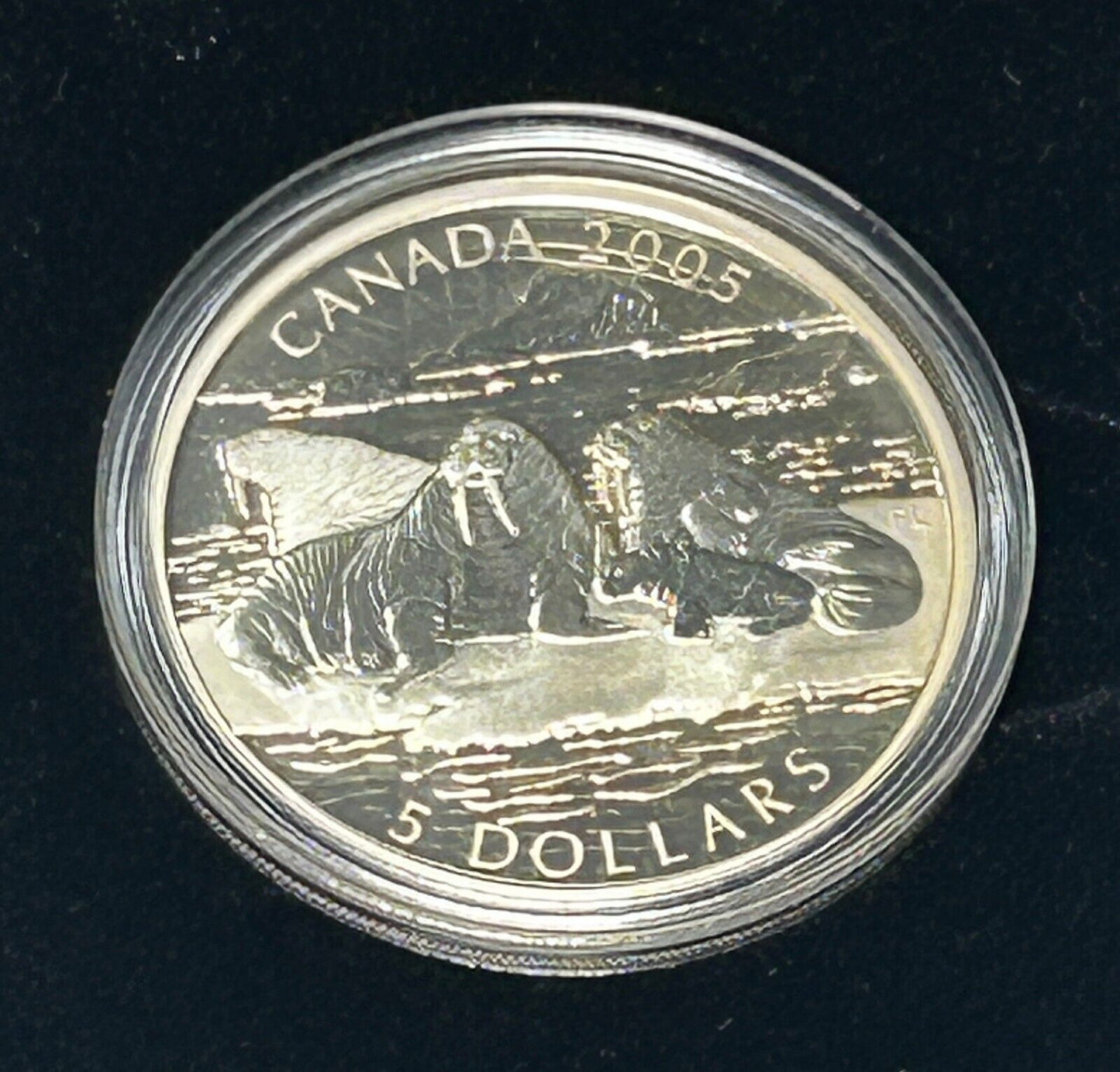 2005 Canada The Atlantic Walrus and Calf Limited Edition Silver Coin & Stamp