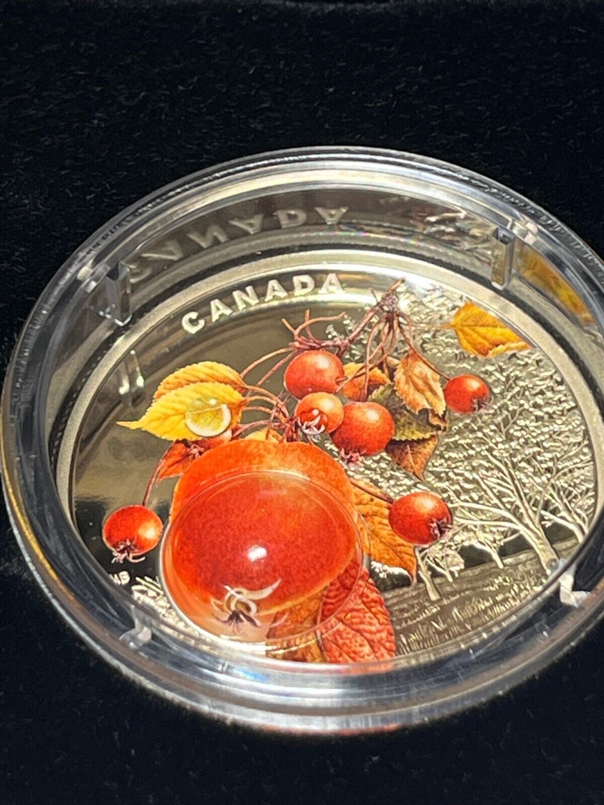 2018 Canada $20 Fine Silver Coin - Mother Nature's Magnification: Morning Dew