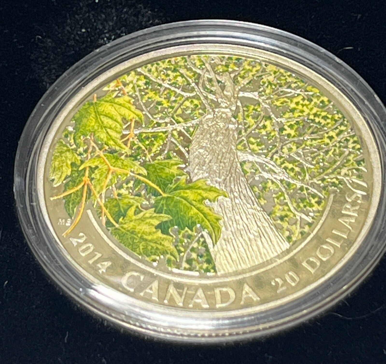 2014 Canada $20 Maple Canopy Spring Splendor Coloured .9999 Pure Silver