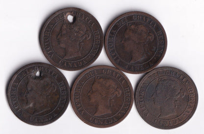 Canada 1876 1 Cent Lot Of Five Large Cent Queen Victoria Good Details