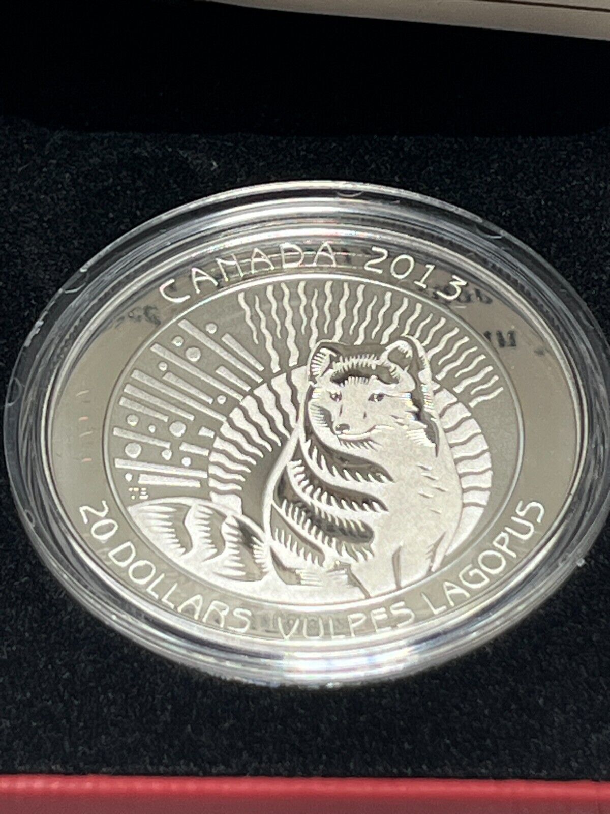 2013 Canada $20 Proof Silver coin - The Arctic Fox Untamed Canada With Box + COA