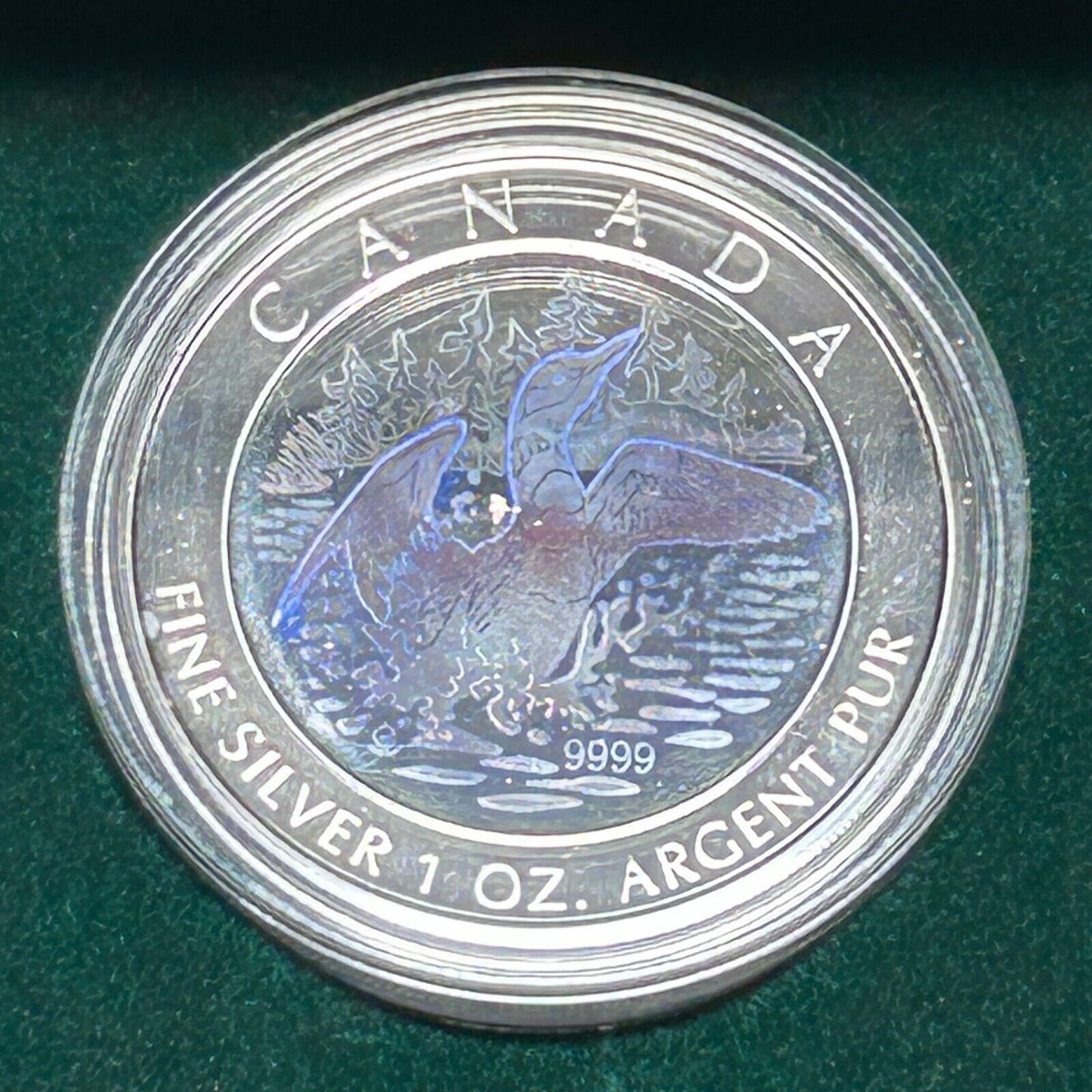 2002 Canada Hologram Pure Silver 5$ Maple Leaf— Anniversary Loon