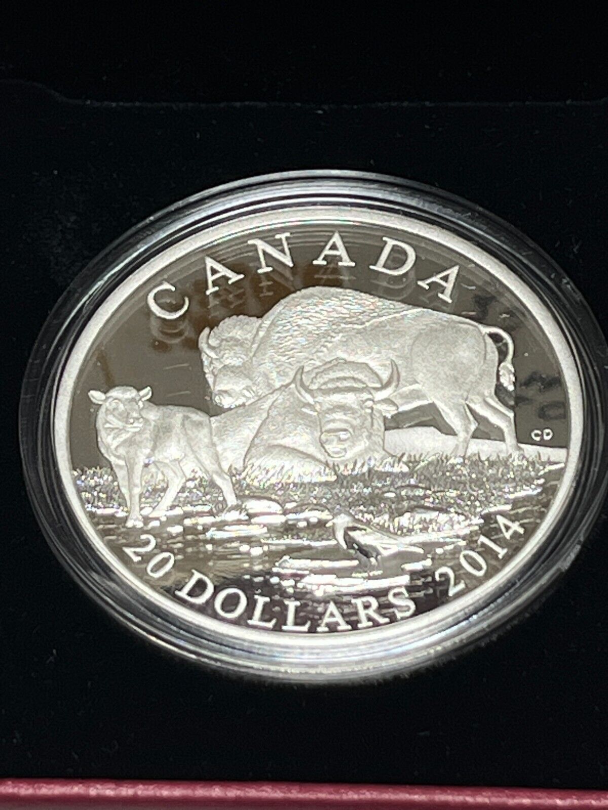 2014 Royal Canadian Mint $20 Fine Silver Coin - The Bison - A Family at Rest