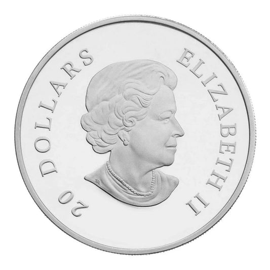 2010 $20 Crystal Snowflake: Tanzanite - Pure Silver Coin - cscoinsnbanknotes