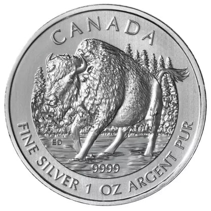 2013 1oz RCM Canada Wildlife Series - Bison