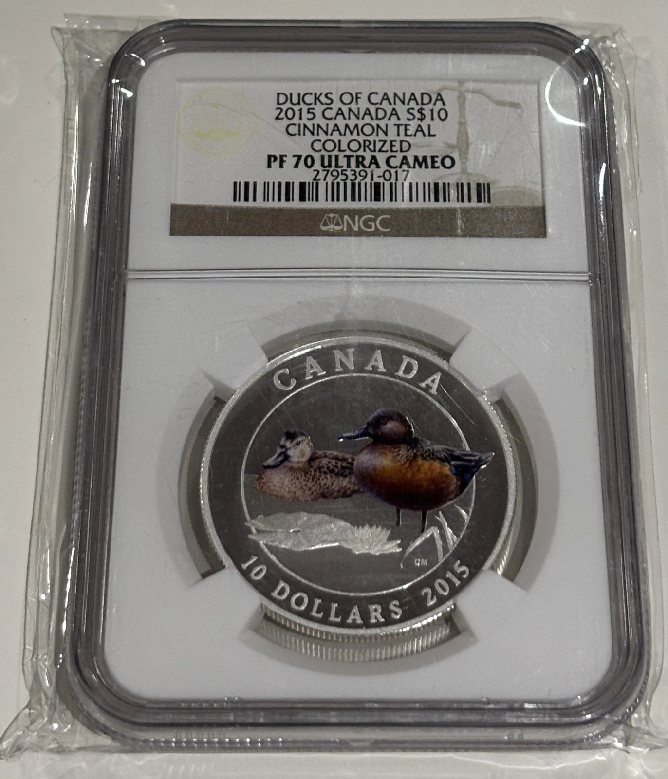 Canada Ducks Of Canada 2015 Cinnamon Teal Colourized NGC Graded PF-70 UC RCM