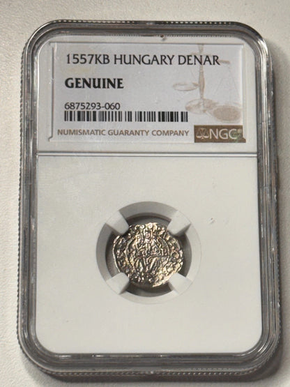 1557KB Hungary Silver Denar NGC Genuine Kremnica Mint Medieval Hungarian Coin